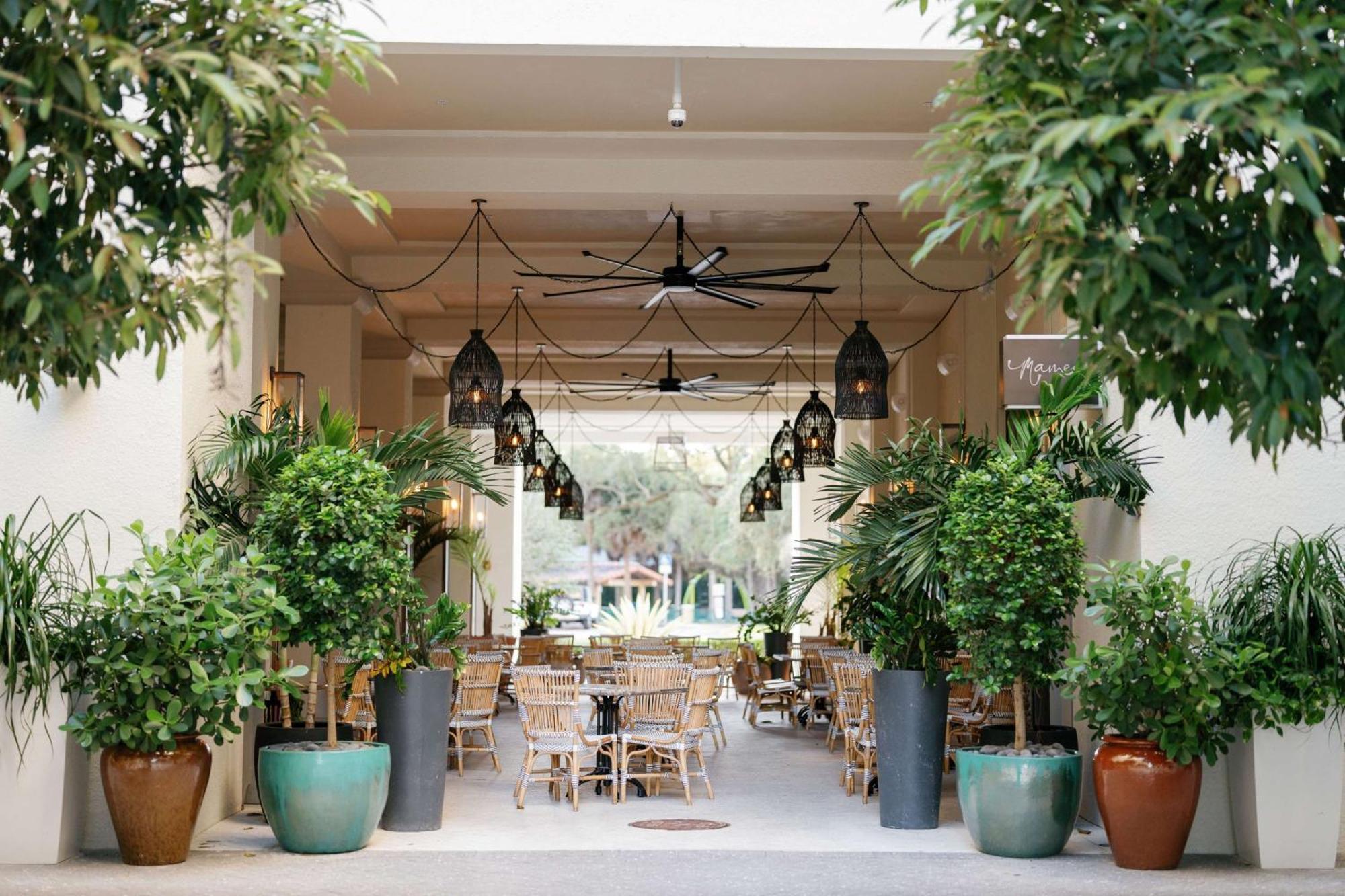 Thesis Hotel Miami Coral Gables, Curio Collection By Hilton 外观 照片