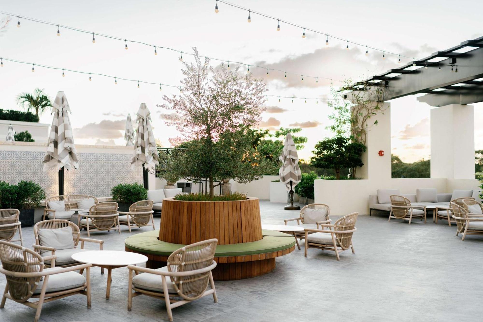 Thesis Hotel Miami Coral Gables, Curio Collection By Hilton 外观 照片